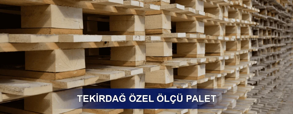 Tekirdağ Yük Kapasitesi