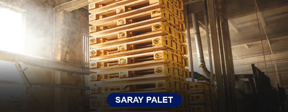 Saray Paletçi